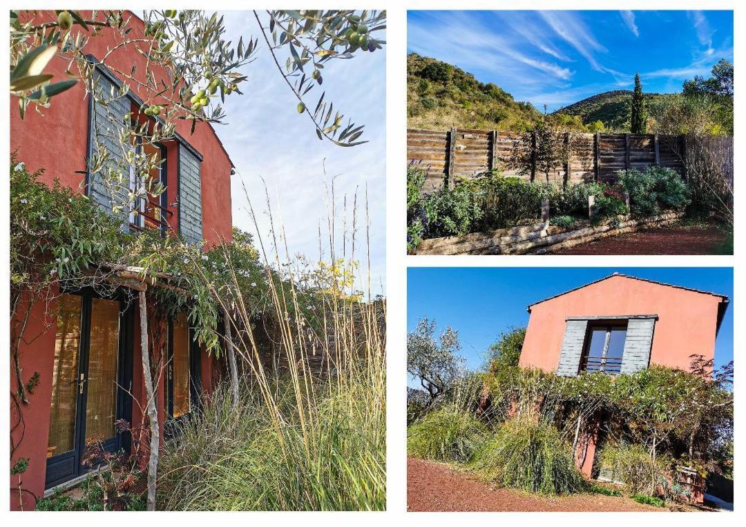 Duplex Orange Oasis
